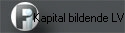 Kapital bildende LV