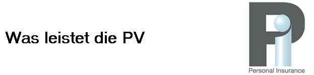 Was leistet die PV